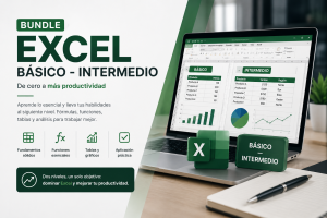 Excel Básico-Intermedio Online